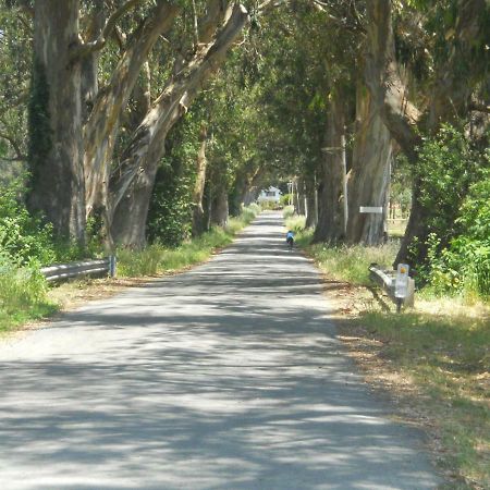 Pescadero Creek Inn 外观 照片