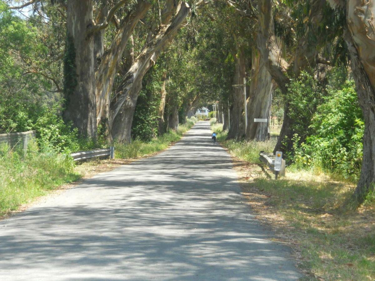 Pescadero Creek Inn 外观 照片